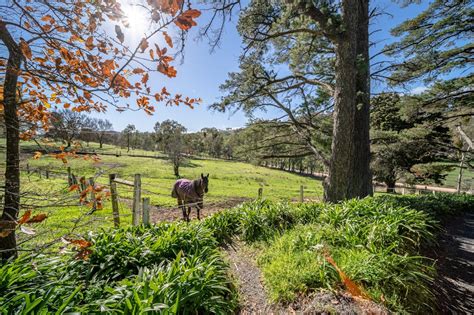 horse riding templewood south australia.